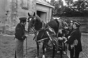 France Carriage Horses
