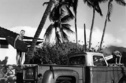 Hawaii surfers and truck