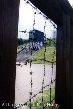 natzweiler_through_barbed_wire.jpg